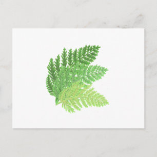 Elegant grönt vattenfärgen Ferns woodland lövs Vykort