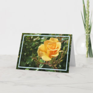 Elegant gul rosblomma foto stilren ram kort