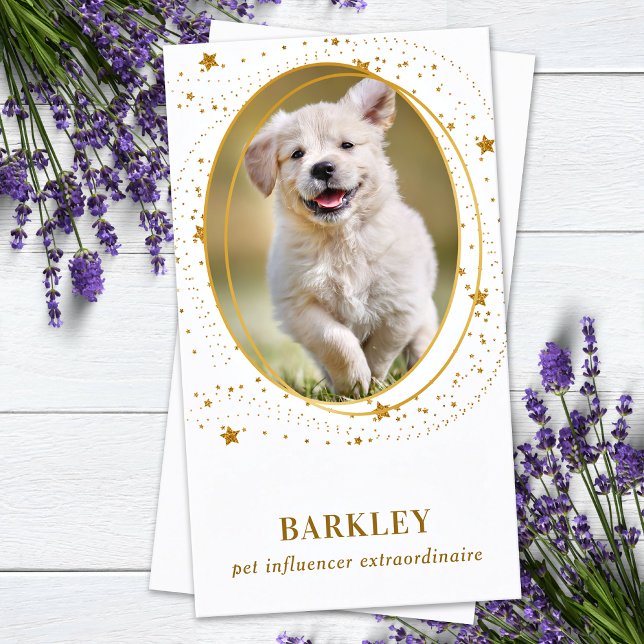 Elegant Guld Stars Anpassningsbar Foto QR Social M Visitkort (Skapare uppladdad)