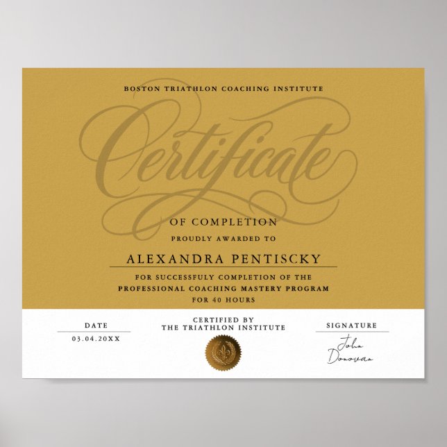 Elegant Guldcertifikat för fullbordande prestation Poster (Framsidan)