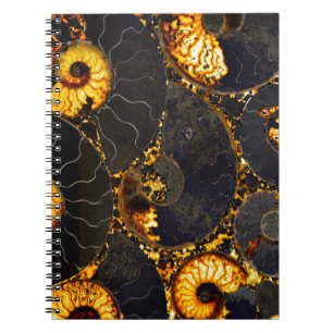 Elegant guldnautilus-design anteckningsbok