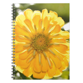 Elegant gult blommigt daisy  anteckningsbok