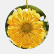 Elegant gult blommigt daisy 