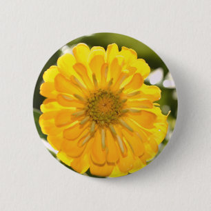 Elegant gult blommigt daisy knapp