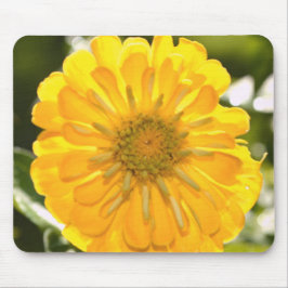 Elegant gult blommigt daisy  musmatta