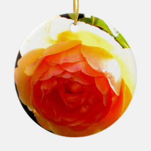 Elegant gult persikoröd aprikos blommigt ro julgransprydnad keramik