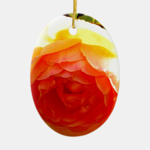Elegant gult persikoröd aprikos blommigt ro julgransprydnad keramik