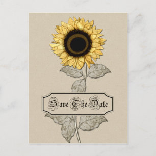 Elegant Gult Solros Tan Background Spara The Meddelande Vykort