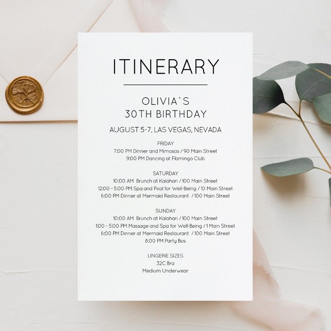 Elegant Helgdag Födelsedags Itinerary Inbjudan (Elegant Weekend Birthday Itinerary Invitation)