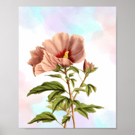 Elegant Hibiscus blomning Botaniskt utskrift Poster