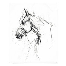 Elegant Horse Porträtt Sketch - Premium