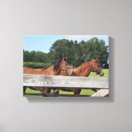 Elegant Horses in Nature Canvastryck