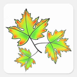 Elegant Höst löv grönt röd gult Maple Löv Fyrkantigt Klistermärke