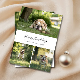 Elegant Hund Photo jul Lycklig Howlidays Pet Julkort