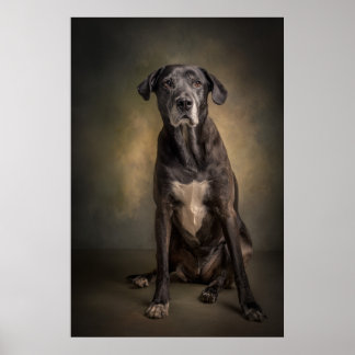 Elegant hundsilhuett poster