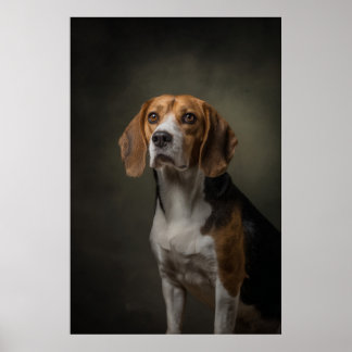 Elegant hundsilhuett poster