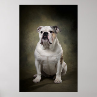 Elegant hundsilhuett poster