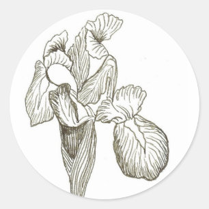 Elegant Iris Runt Klistermärke
