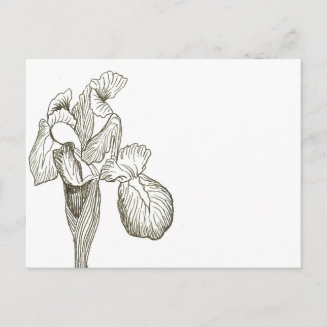 Elegant Iris-vykort Vykort (Framsida)