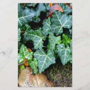 Elegant Ivy fält stenboho botaniskt Brevpapper