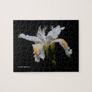 Elegant japanska bestade irisvita blommor pussel