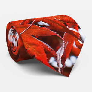 Elegant Japanska Red Maple Löv Slips