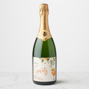 Elegant kärlek vid första spritzens bröllopsfest 
