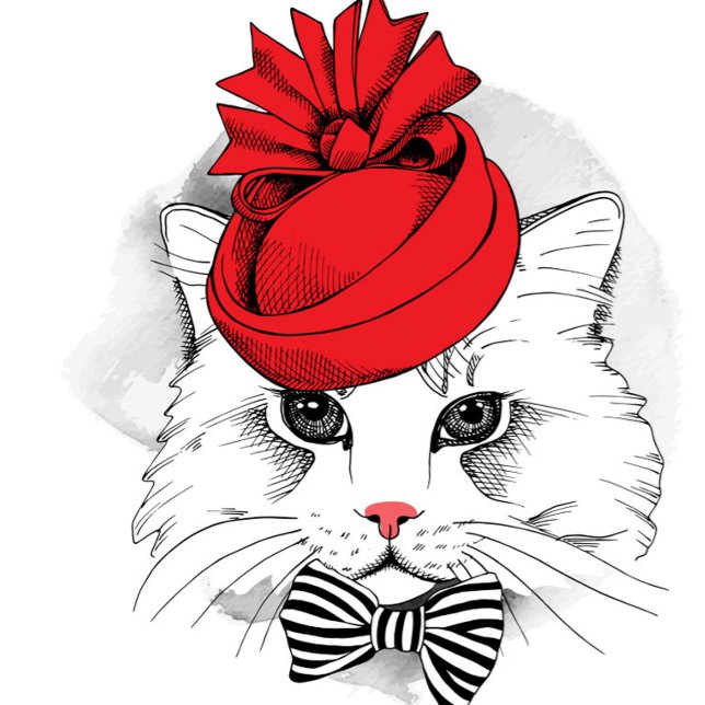 Elegant Katt T Shirt (Illustration of a white cat wearing a red hat and a black and white striped bow. )