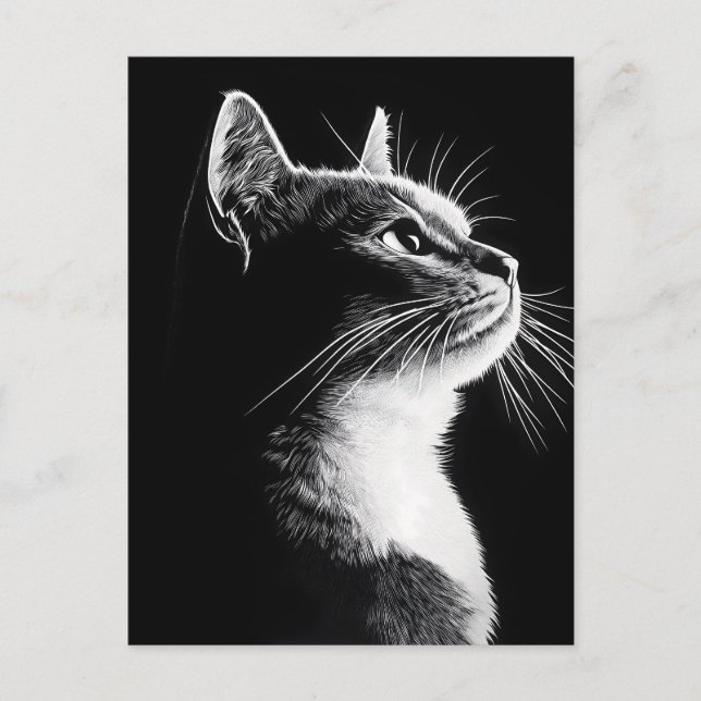 Elegant Katt Vykort (Framsida)