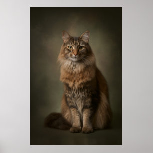 Elegant kattstudioporträtt poster