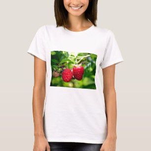 Elegant klassisk rödhallon tee shirt