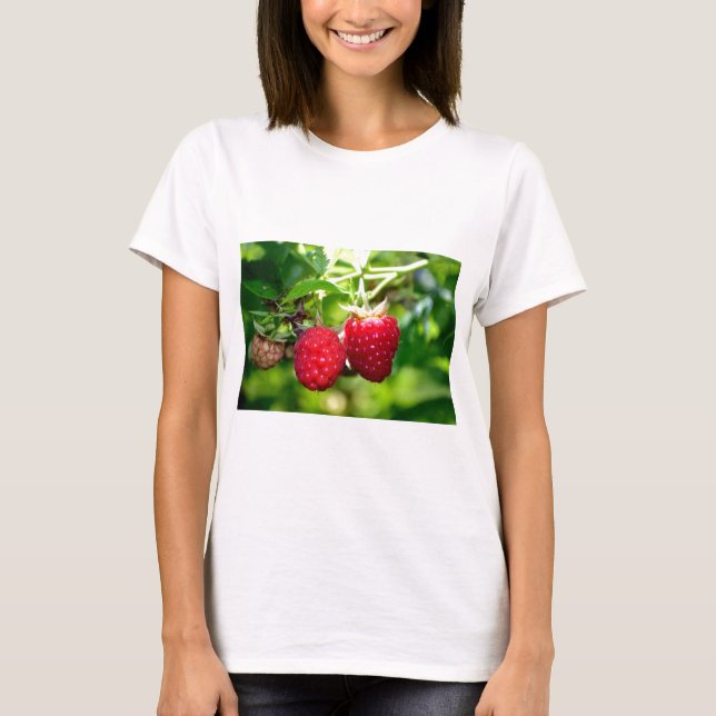 Elegant klassisk rödhallon tee shirt (Framsida)