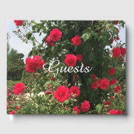 Elegant Klimatning i Röd ros Gästböcker