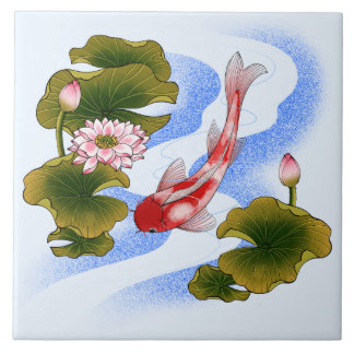 Elegant koi carp i lotus pond kakelplatta