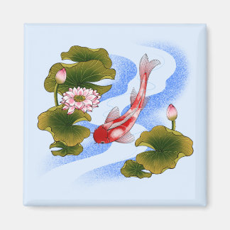Elegant koi carp i lotus pond magnet