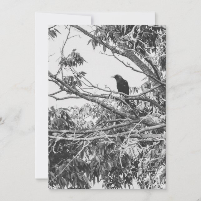 elegant kontrast av amerikansk gotisk kråka julkort (Framsida)
