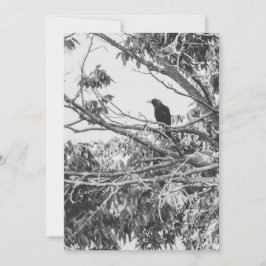 elegant kontrast av amerikansk gotisk kråka julkort