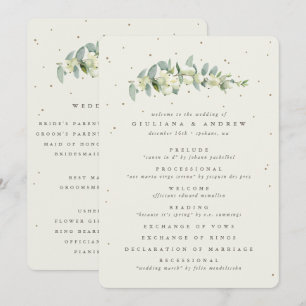 Elegant krämfärgad snöbärs- och eukalyptus-stam br program