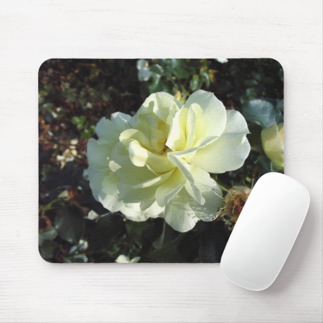 Elegant Krämig Vit Ros Blommig Fotografi Musmatta (Med mus)
