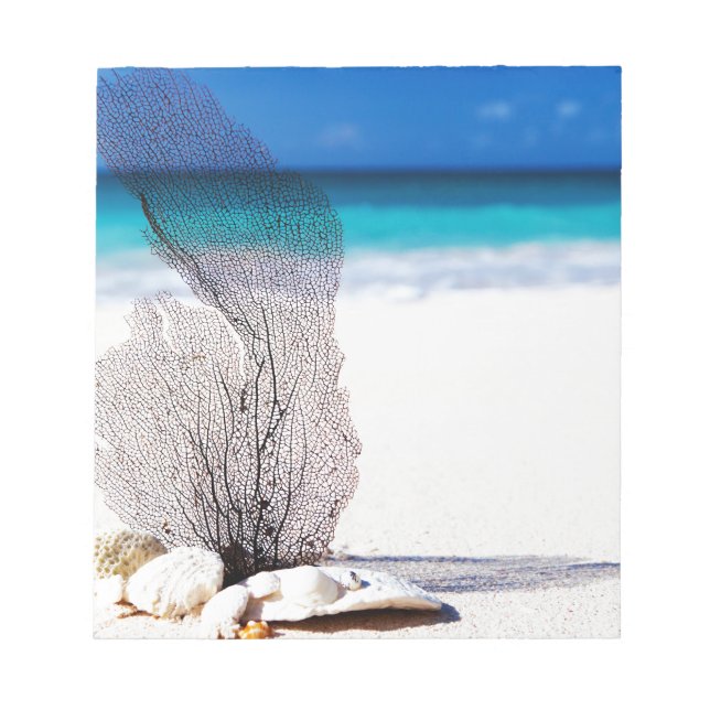 Elegant Kuststranden Snäcka Beach Anteckningsblock (Framsida)