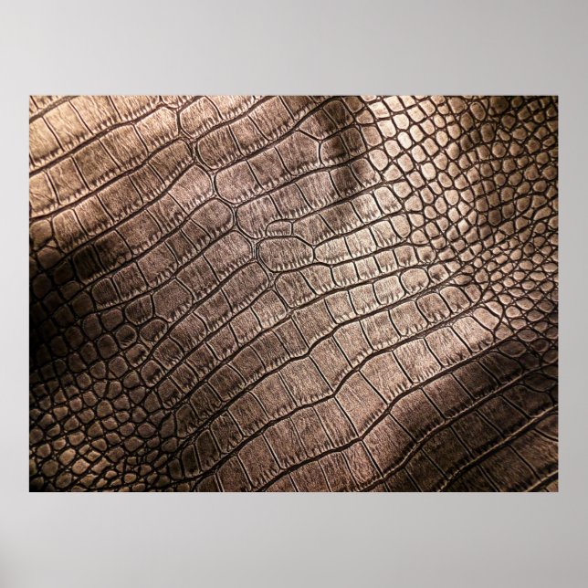 Elegant, läder, mönster nära varandra. poster (Framsidan)