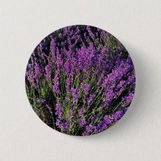 Elegant Lavendel Brosch Knapp