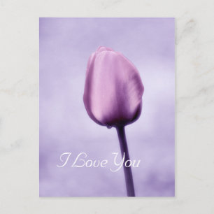 Elegant Lavender Lila Tulip I Kärlek You Vykort