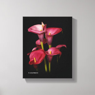 Elegant Lila Calla Lilies Canvastryck
