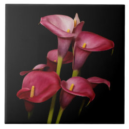 Elegant Lila Calla Lilies Kakelplatta