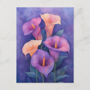 Elegant Lila Calla Lilies Vykort