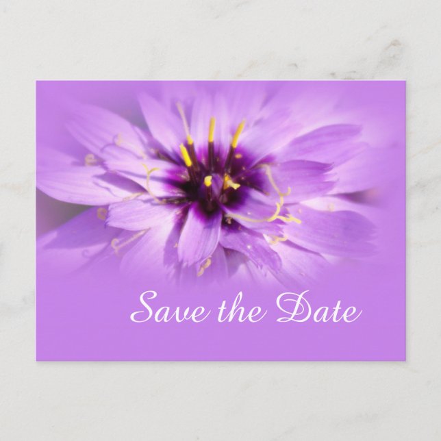 Elegant lila daisy blomma spara datum för vykort (Framsida)
