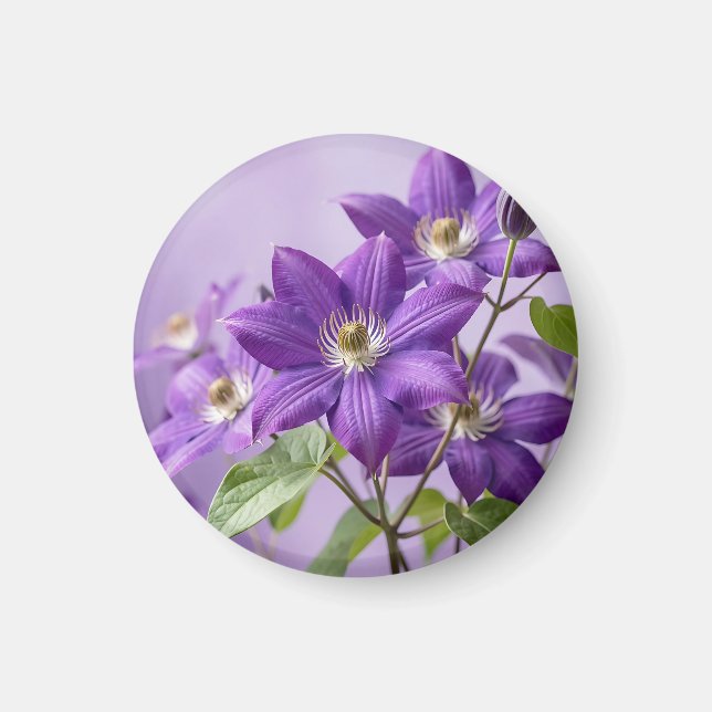 Elegant lila Klematis Blomning Magnet (Framsidan)