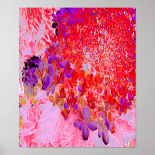 Elegant lila och orange Limelight Hortensia Poster
