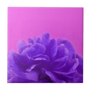 Elegant Lila Raspberry Blommigt Kakelplatta